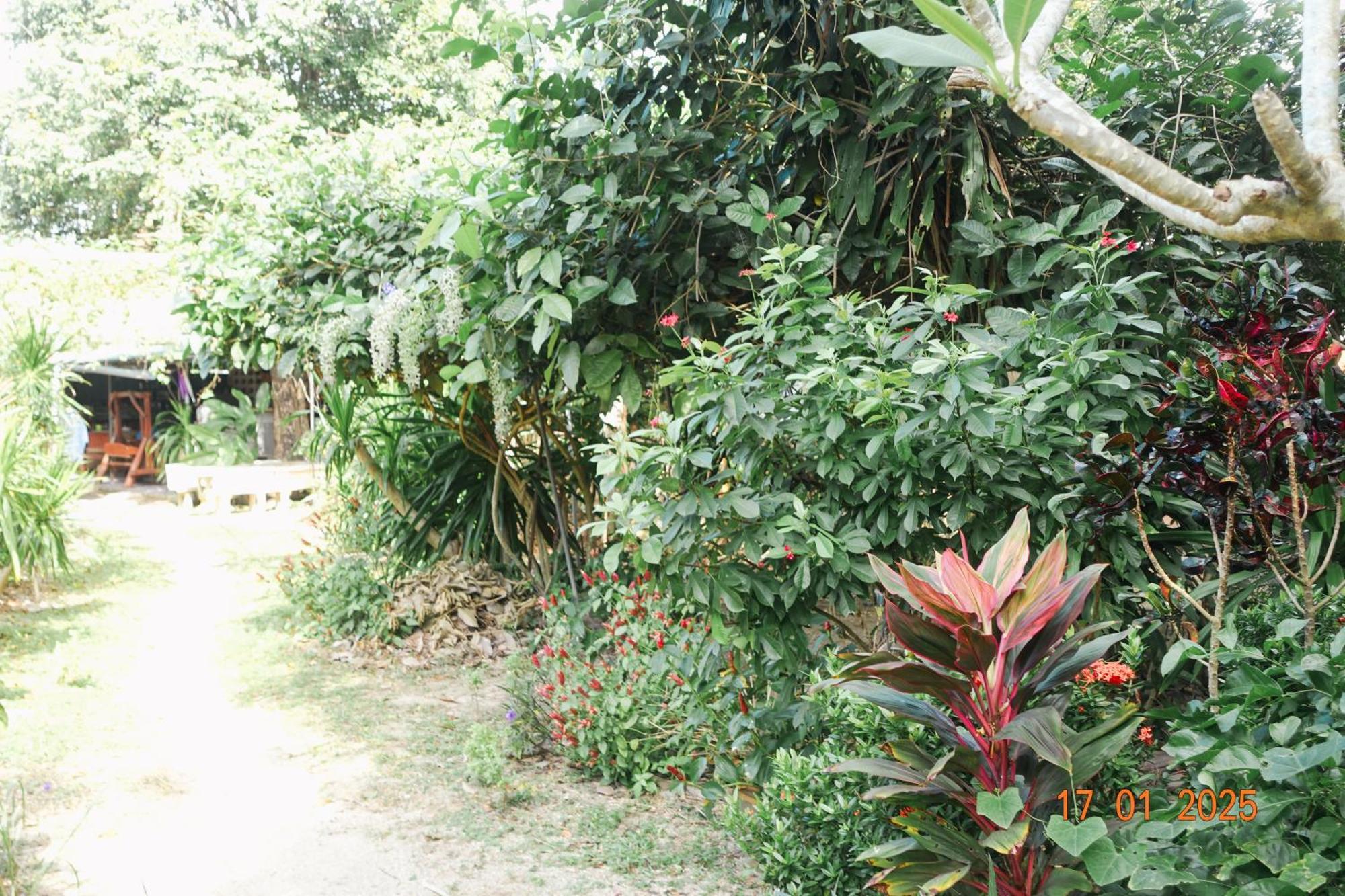 Subsavet Village Ko Pha Ngan Exterior photo